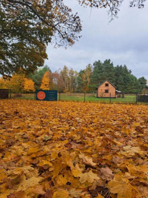 Chatka na Wiedźmiej Górce, Kotla